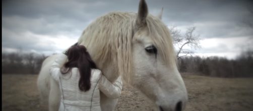 Horses are used in therapy to help people overcome fear and anxiety [LienMedia/Youtube Screencap]