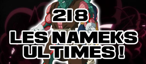 DBS 218 : Les Nameks ultimes ! DBS 218 : Les Nameks ultimes !