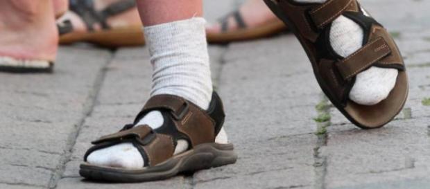 Herren und Damen 1 Paar Ginger Fox Socken und Sandalen Neuheit ... - bporg.de Herren und Damen 1 Paar Ginger Fox Socken und Sandalen Neuheit ... - bporg.de