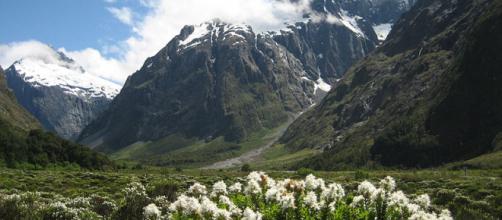 New Zealand's natural beauty, in the Fiordland National Park [via Wikimedia, by Marc Mann]