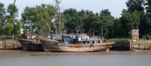 North Korean boats (Image credit – Suikotei, Wikimedia Commons)