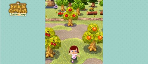 Animal Crossing: Pocket Camp tips (Nintendo Mobile/YouTube)