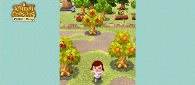 Animal Crossing: Pocket Camp tips (Nintendo Mobile/YouTube) Animal Crossing: Pocket Camp tips (Nintendo Mobile/YouTube)