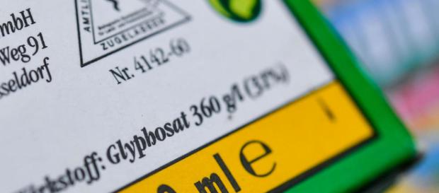 Glyphosate : cafouillage au sein du gouvernement - Le Point - lepoint.fr Glyphosate : cafouillage au sein du gouvernement - Le Point - lepoint.fr