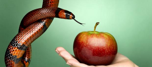 O símbolo do pecado, a serpente e a maçã (Imagem/Getty Images) O símbolo do pecado, a serpente e a maçã (Imagem/Getty Images)