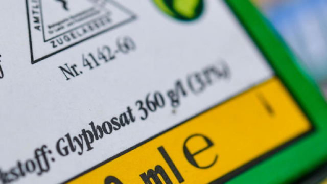 Glyphosate : cafouillage au sein du gouvernement - Le Point - lepoint.fr