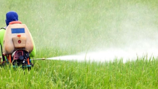Un uomo mentre "spara" il glifosato sui campi