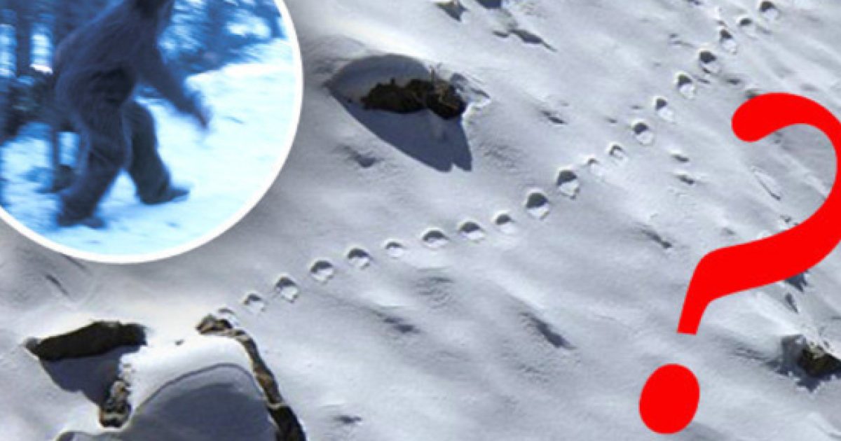 Le Yeti Existe T Il Vraiment fr.blastingnews.com