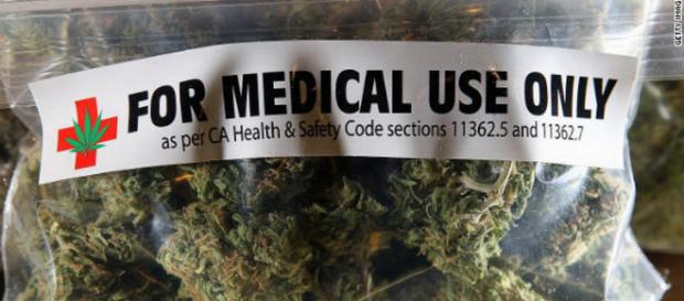 Le cannabis - Planter, posséder et fumer légalement en Californie - frenchdistrict.com Le cannabis - Planter, posséder et fumer légalement en Californie - frenchdistrict.com