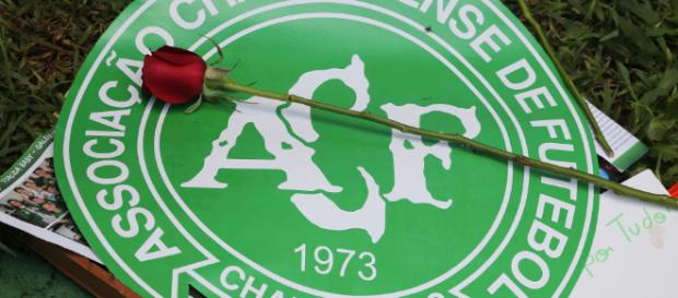 Rosa posta em homenagem aos jogadores mortos no acidente (Reprodução) Rosa posta em homenagem aos jogadores mortos no acidente (Reprodução)