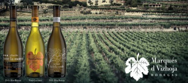 Variedades Marqués de Vizhoja - Bodegas Marqés de Vizhoja/Tripadvisor Variedades Marqués de Vizhoja - Bodegas Marqés de Vizhoja/Tripadvisor