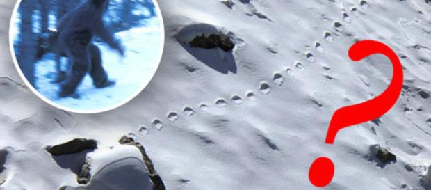 Yeti footprints photographed in snow in Bhutan | Daily Star - dailystar.co.uk Yeti footprints photographed in snow in Bhutan | Daily Star - dailystar.co.uk