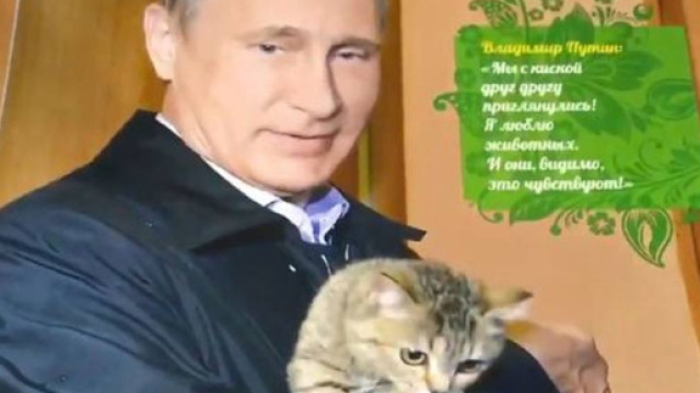 Vladimir Putin pubblica calendario 2018 - corriere.it