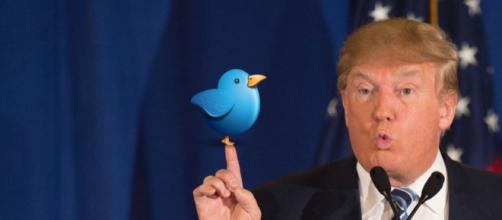Twitter Users Sue Trump For Blocking Them – PATDOLLARD - patdollard.com