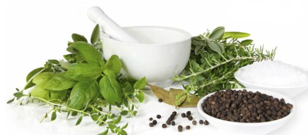 Curarsi con le erbe officinali | Di Romeo - diromeo.it Curarsi con le erbe officinali | Di Romeo - diromeo.it