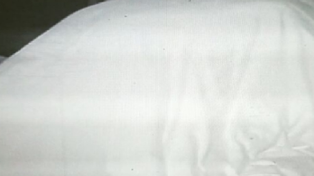 Video Cecilia Rodriguez ed Ignazio Moser hanno fatto l'amore al Grande Fratello Vip 2?