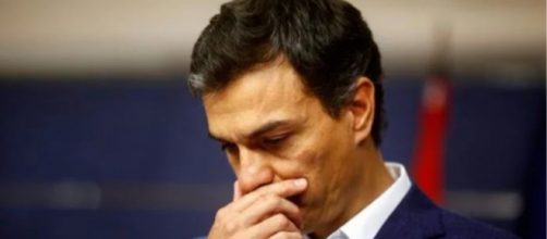 Pedro Sánchez, secretario general del PSOE