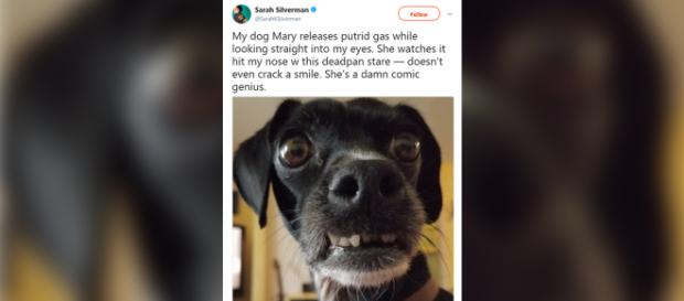 Funniest tweets of November. Image Credit: Twitter Funniest tweets of November. Image Credit: Twitter
