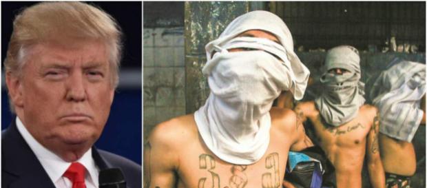 Trump vs inmigrantes, aire fresco para los planes del empresario estadounidense. Trump vs inmigrantes, aire fresco para los planes del empresario estadounidense.