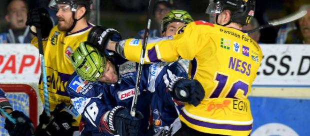Krefeld Pinguine: Pinguine für den Start noch nicht bereit - rp-online.de Krefeld Pinguine: Pinguine für den Start noch nicht bereit - rp-online.de