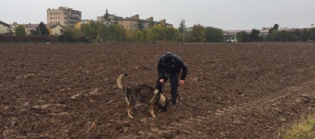 Le unità cinofile dei Carabinieri setacciano il campo a Villafranca di Verona, in cui sono stati rinvenuti resti umani il 31 ottobre scorso. Le unità cinofile dei Carabinieri setacciano il campo a Villafranca di Verona, in cui sono stati rinvenuti resti umani il 31 ottobre scorso.