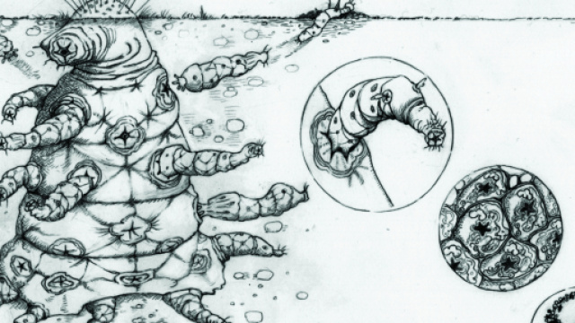 Rappresentazione di un'ipotesi di struttura aliena a cura di Helen S.Cooper-www.media.inaf.it