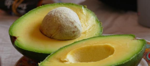 Los narcotraficantes se están diversificando en el comercio de aguacates y limones Los narcotraficantes se están diversificando en el comercio de aguacates y limones