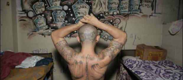 Los Zetas reclutan miembros de la Mara Salvatrucha, dicen ... - animalpolitico.com Los Zetas reclutan miembros de la Mara Salvatrucha, dicen ... - animalpolitico.com