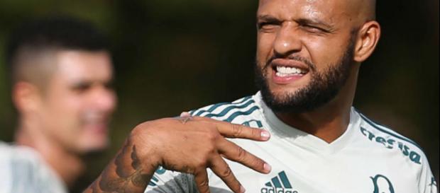 O jogador veio ao Verdão no início do ano O jogador veio ao Verdão no início do ano
