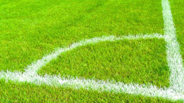 Pronostici Spareggi Mondiali Russia 2018: non c'è solo Italia-Svezia