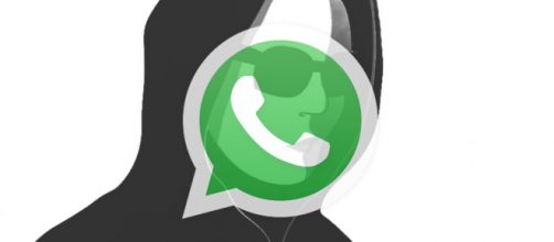 WhatsApp, vi farebbe comodo un doppio account?