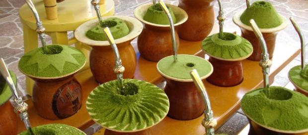 Saiba quais os Benefícios da erva-mate com relação ao tradicional café Saiba quais os Benefícios da erva-mate com relação ao tradicional café