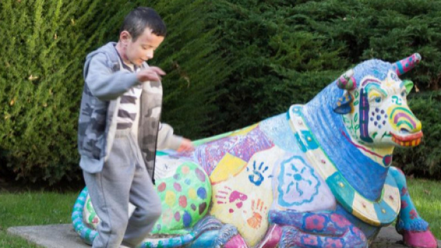 Bambino farfalla ricerca italiana pelle - ilmattino.it