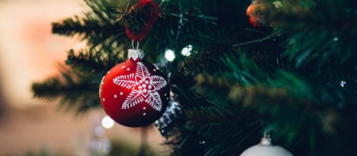 Christmas trees are another holiday tradition adapted from Germany, like advent calendars. [image credit: Pexels]