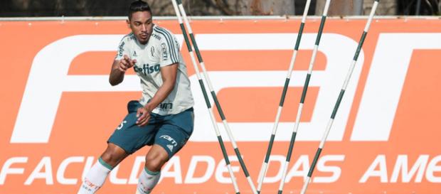 Antônio Carlos ficará mais um ano no Palmeiras Antônio Carlos ficará mais um ano no Palmeiras