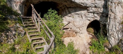Denisova cave [Image credit: Max Planck Institute for Evolutionary Anthropology]