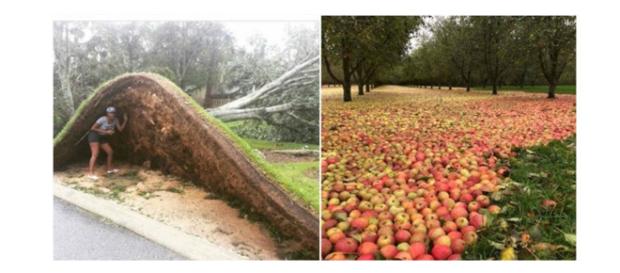 A natureza não deve ser desafiada A natureza não deve ser desafiada