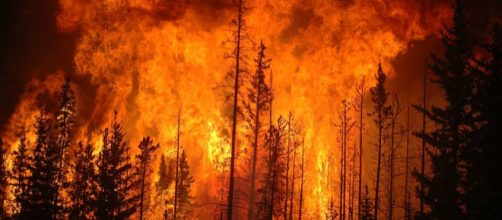 Forest fires (Image credit – Cameron Strandberg, Wikimedia Commons)