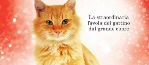 ‘Oliver, il gatto che salvò il Natale’, un libro per le vacanze