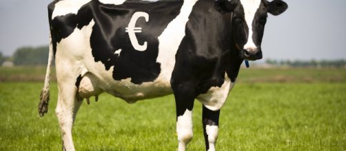 The EU's farming policy is hated – but what comes next may be worse - theconversation.com