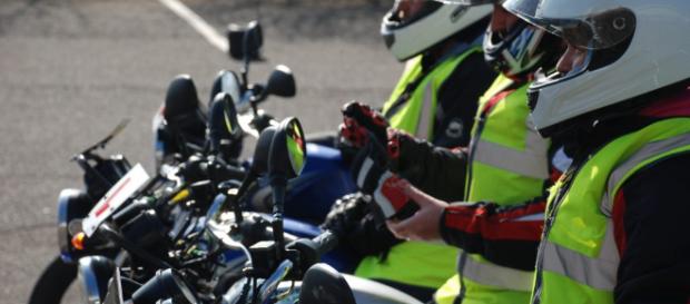 CBT training in Milton Keynes - what you should know... | Call ... - rebeldoggmct.com CBT training in Milton Keynes - what you should know... | Call ... - rebeldoggmct.com