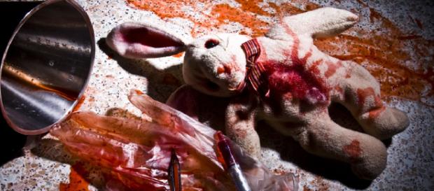 The EU is proposing an increase in animal testing (Norton College via Flikr). The EU is proposing an increase in animal testing (Norton College via Flikr).