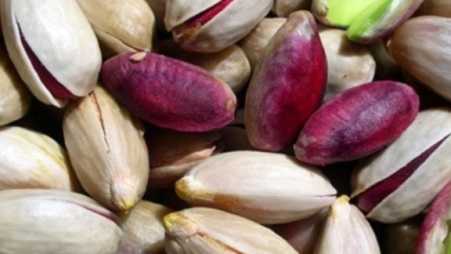 Pistacchio di Raffadali, Cna: 'Sostegno della Regione alla filiera' - agrigentonotizie.it