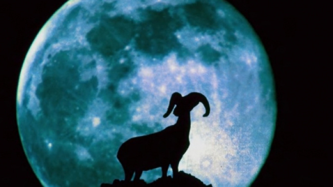 Oroscopo settimanale da lunedì 18 fino a domenica 24 di dicembre 2017: previsioni zodiacali ultimi sei segni