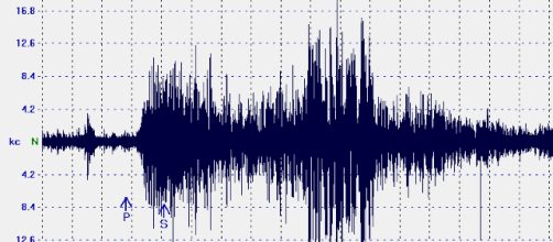 Uno sismografo che rivela l'intensità di un terremoto