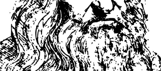 Leonardo Da Vinci, vegetariano y activista de su época. Leonardo Da Vinci, vegetariano y activista de su época.