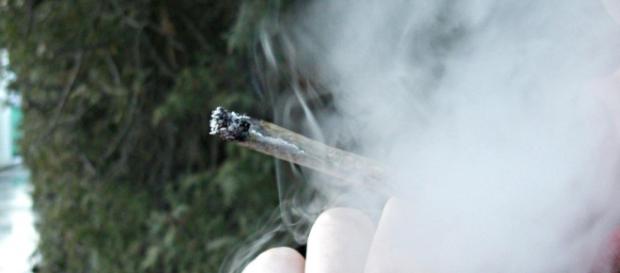 Em alta, cantor é flagrado fumando maconha e gera comentários; assista Em alta, cantor é flagrado fumando maconha e gera comentários; assista