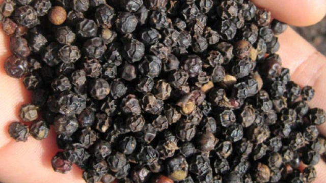 Pepe nero con salmonella - exportersindia.com