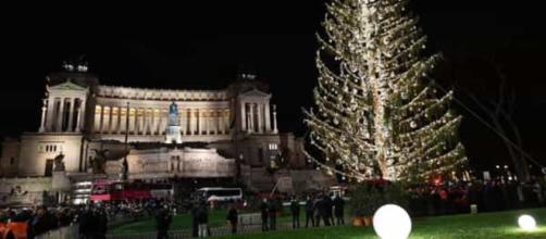 L'albero di Natale trentino a Roma si chiama "Spelacchio". Il ... - trentotoday.it