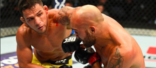 Rafael dos Anjos es un serio contendiente al título welter. bjpenn.com. Rafael dos Anjos es un serio contendiente al título welter. bjpenn.com.